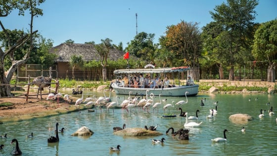 Tặng con mùa hè đáng nhớ – học điều hay từ thế giới diệu kỳ VinWonders Nam Hội An