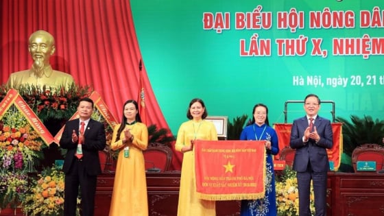 Ban Chấp hành Trung ương Hội Nông dân Việt Nam hướng dẫn tổ chức Đại hội Hội Nông dân cấp tỉnh, xã, nhiệm kỳ 2025-2030