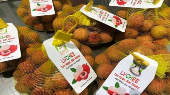 Tin hot thị trường ngày 1/8: Ngân hàng Nhà nước điều chỉnh tăng chỉ tiêu tín dụng năm 2025
