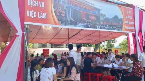 Nam Định: Ứng dụng công nghệ giúp giải quyết nhanh chế độ trợ cấp thất nghiệp cho lao động