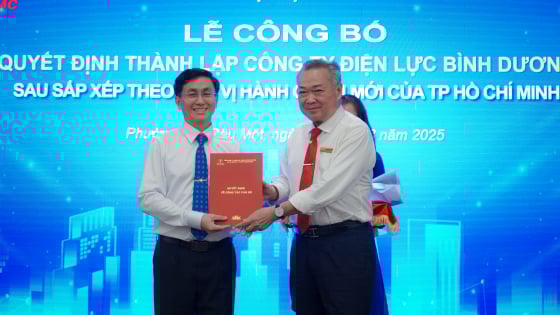 EVNHCMC công bố thành lập 9 công ty điện lực mới 