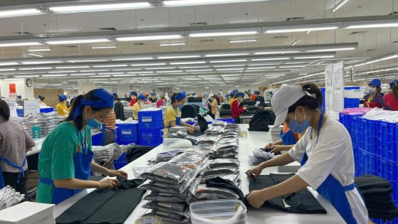 
Phòng ngừa thất nghiệp: Lao động cần nhiều hơn những khoản trợ cấp
