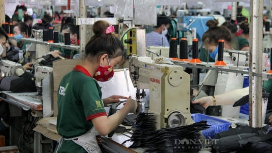 Doanh nghiệp mới tăng mạnh, nhưng Đà Nẵng vẫn đối mặt với 'cơn bão' ngừng hoạt động và giải thể