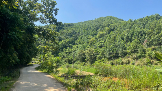 Đất kết hợp đa mục đích thương mại, dịch vụ: Loại nào được phép sử dụng?