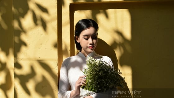 Ký ức Hà Nội: Lắng nghe nhịp đập trái tim của Thủ đô đang vươn mình