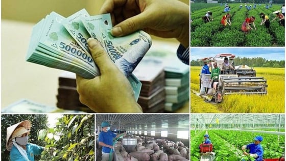 Phó Thủ tướng yêu cầu gỡ khó hàng loạt công trình khi áp dụng mô hình chính quyền 2 cấp