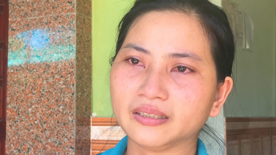 Vụ anh nông dân Nghệ An lĩnh 6 năm tù vì bán gà lôi trắng: Cả xóm 'sốc', xóm trưởng cũng 'không biết là vật quý hiếm' 