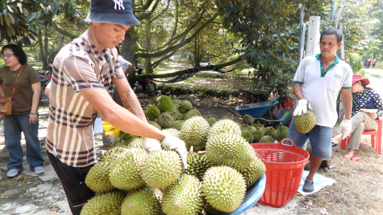 Mục tiêu 65 tỷ USD xuất khẩu nông lâm thủy sản năm 2025 trước phép thử khắc nghiệt từ thị trường lớn nhất thế giới