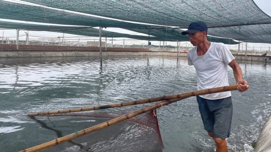 Tỷ phú Ninh Bình nuôi tôm công nghệ cao, lời gần 2 tỷ/năm, cả làng mến mộ