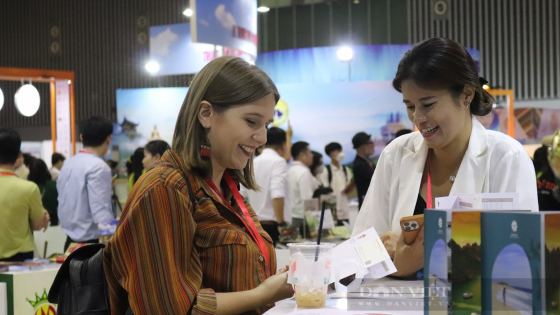 Một loạt tập đoàn du lịch hàng đầu thế giới, có cả Mỹ, Úc, châu Âu... sẽ đến TP.HCM