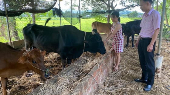 Đà Nẵng: Xã Tây Hồ giữ vững mạng lưới giao dịch gần dân, sát dân đảm bảo dòng vốn chính sách thông suốt, kịp thời