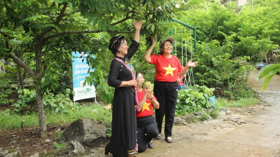 Lạng Sơn: Mở tour du lịch nông nghiệp với những vườn na trên thung lũng đá vôi hùng vĩ