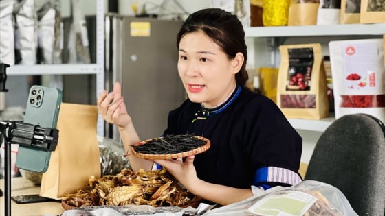 Người trẻ làm giàu từ nông sản, góp sức thay đổi diện mạo nông thôn