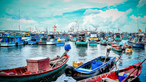An Giang chi ngân sách hỗ trợ đến 11 triệu đồng/tàu cá để 'siết' thiết bị giám sát hành trình IUU
