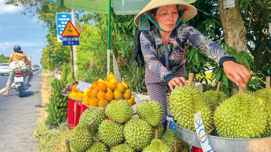 Hễ ra ngõ là đụng trúng 'vua trái cây' bày lăn lóc, giá rẻ chưa từng thấy ở Cần Thơ, thực hư thế nào?