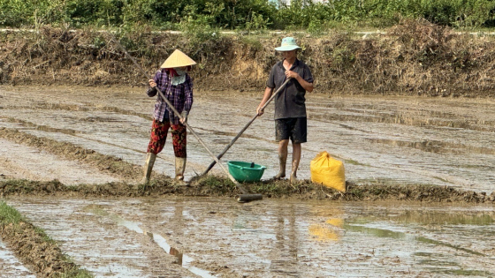 Đang lo hạn, nông dân Gia Lai bất ngờ gặp chuyện 'không ai muốn'... giữa mùa gieo sạ