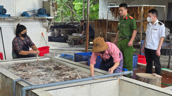 Phát hiện 3 tấn ruột lợn không rõ nguồn gốc xuất xứ, bốc mùi hôi thối