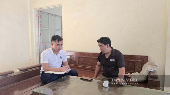 Sáp nhập thôn, tổ dân phố ở Tuyên Quang (gồm địa phận Hà Giang cũ): Tiêu chuẩn, trình độ chuyên môn của trưởng thôn