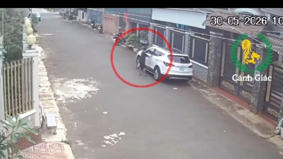 TIN NÓNG 24 GIỜ QUA: Bé trai 12 tuổi lái ô tô khiến nhiều người thót tim; trả 'lương' cho công nhân bằng... ma túy