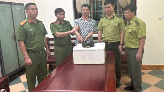 Ninh Bình xử lý gần 20 vụ vi phạm về động vật hoang dã, từ rắn hổ mang chúa đến chim hoang dã