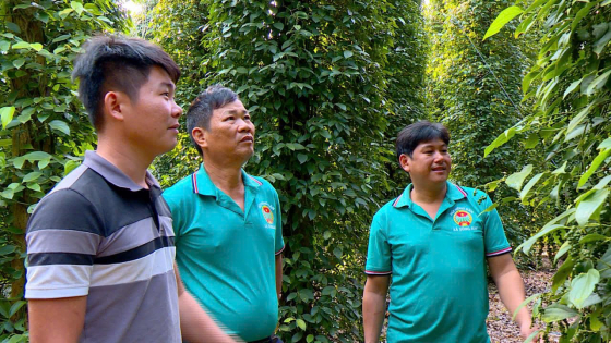 Từ việc làm nhỏ, một xã ở Đồng Nai biến 15 tấn rác mỗi ngày thành nguồn lực cho nông nghiệp xanh