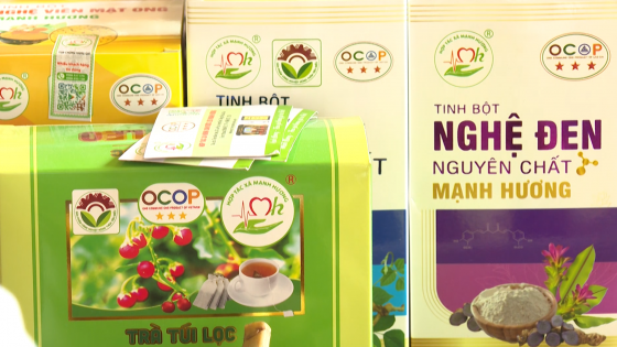 “Đòn bẩy” giúp các hợp tác xã, hộ gia đình ở Lào Cai xây dựng sản phẩm OCOP

