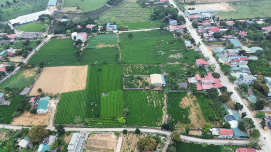 Xây dựng thương hiệu chè Sông Bôi