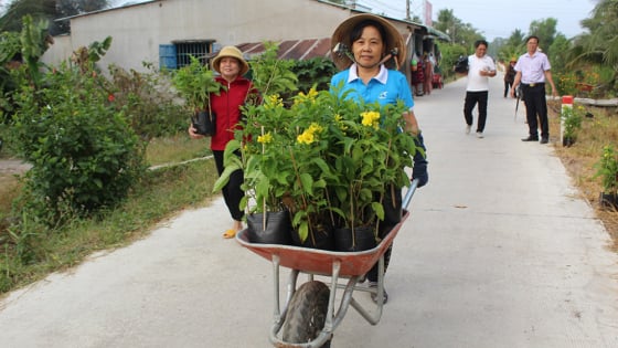 Đường hoa nông thôn mới ở một huyện vùng Đồng Tháp Mười của tỉnh Long An đẹp mê tơi thế này đây