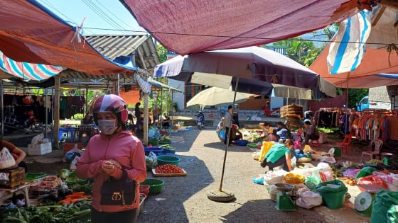 Vô cái chợ phiên này ở Yên Bái thấy bán la liệt rau rừng, cua suối, lươn đồng, ốc đá, trai sông