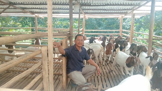 Một hợp tác xã ở Đồng Nai nuôi con gì cũng ăn nên làm ra, thu 7 tỷ/năm