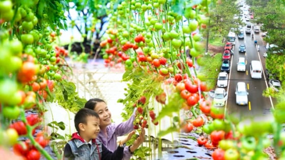 “Thủ phủ” du lịch của Kon Tum làm cách này để tăng sức hút và sự hấp dẫn du khách