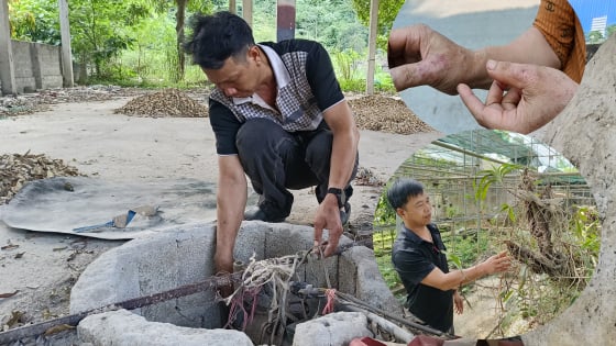 Quèn Khó chưa hết khổ: Nước, không khí ô nhiễm nặng, cây trồng chết dần, người dân 'kêu trời' (Bài 2)
