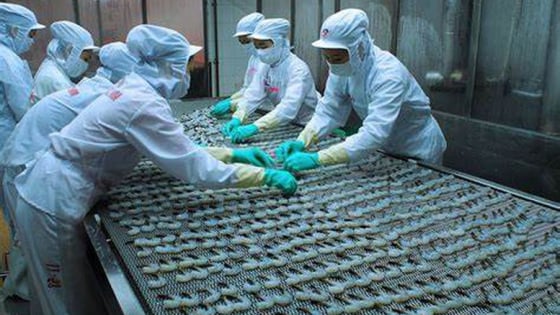 Xuất khẩu thủy sản 4 tháng đạt trên 3 tỷ USD, kim ngạch sang Trung Quốc tăng mạnh