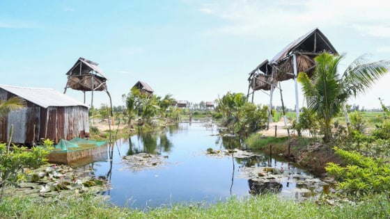 Làm chuồng kỳ lạ, nuôi con thú bay như chim hoang dã ở Kiên Giang, lạ hơn là chả phải cho ăn, chỉ hứng lấy phân