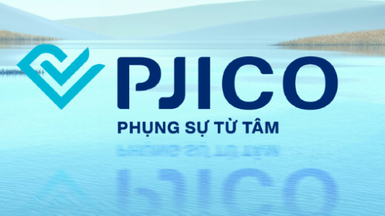 'Đại gia bảo hiểm' Pjico sẽ ra sao nếu không còn lợi thế từ Petrolimex và gặp rủi ro thanh khoản?
