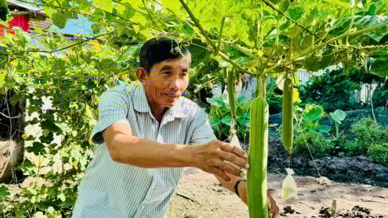 Chi hội nông dân nghề nghiệp, nơi đồng bào Khmer ở Cần Thơ giúp nhau thoát nghèo, làm giàu