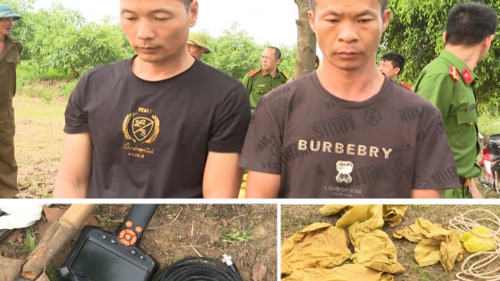 Chân dung 2 người Trung Quốc đào trộm mộ Vua Lê Túc Tông