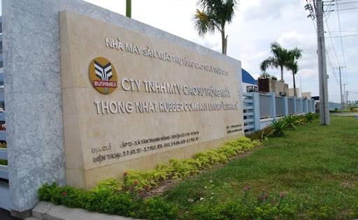 Không phải cao su, loại quả này giúp Cao su Thống Nhất (TNC) báo lãi tăng đột biến quý I/2025