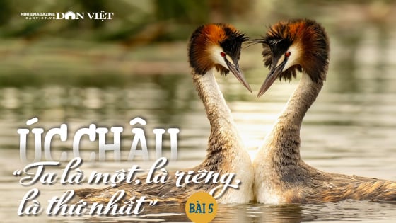 Úc châu, “Ta là một, là riêng, là thứ nhất”: Vẻ đẹp quyền quý và mật mã của tình mẫu tử (Bài 5)