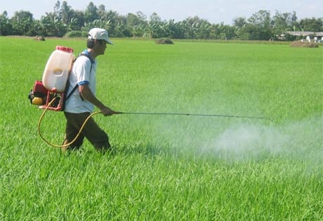  Nông dân Hải Phòng xuống đồng phòng diệt trừ sâu cuốn lá nhỏ, bệnh đạo ôn trên lúa xuân
