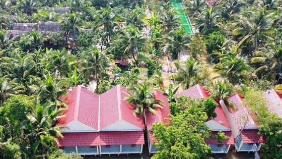 Ở Bến Tre, dân biến vườn thành khu du lịch sinh thái,  người thiên hạ rỉ tai nhau đến, lợi đủ đường