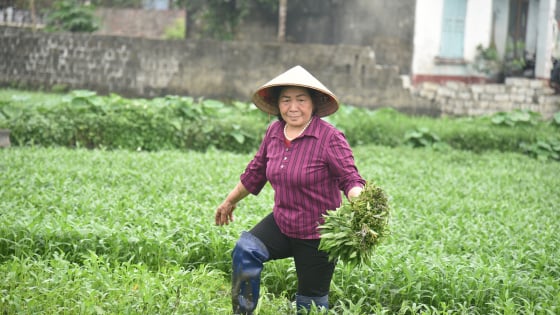 Chi hội trưởng nông dân U70 ở Quảng Ninh vừa lội ruộng vừa tuyên truyền công tác Hội cho hội viên