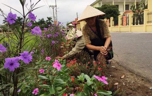 Đường hoa nông thôn mới ở một huyện của Bắc Ninh đẹp tinh tươm, hoa dừa cạn, hoa chiều tím nở rộ