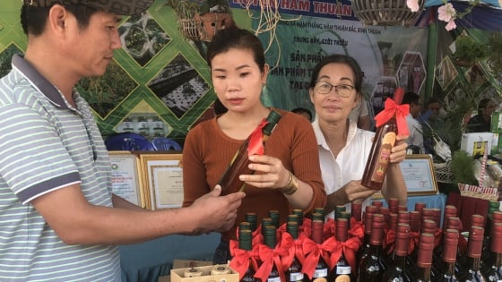 Trước khi sáp nhập tỉnh, một sở ở Bình Thuận ban hành kế hoạch tổ chức đưa hàng Việt lên miền núi