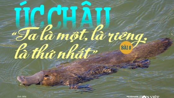 Úc châu, “Ta là một, là riêng, là thứ nhất”: “Quái thú” gây tranh cãi “sứt đầu mẻ trán” (Bài 8)