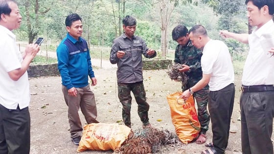 Khu rừng 37.000 ha ở Quảng Trị có động vật hoang dã nằm trong sách Đỏ, bọn thợ săn dùng 2 loại bẫy 'dã man' để bắt loài thú