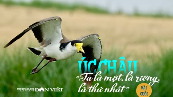 Úc châu, “Ta là một, là riêng, là thứ nhất”: Vòng quay của sự tử tế (Bài cuối)