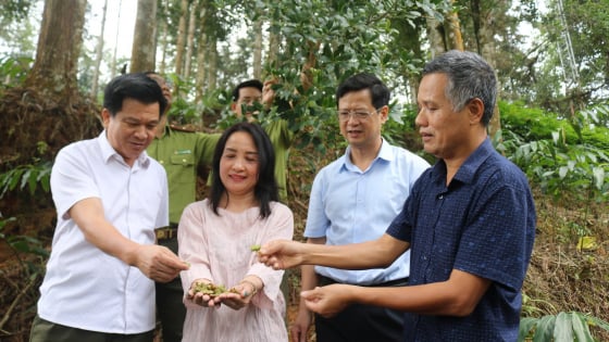 Hội Nông dân Lào Cai tham gia giám sát thực hiện chương trình xây dựng nông thôn mới và giảm nghèo bền vững