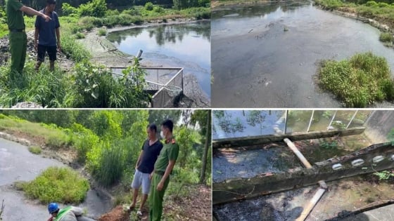 Trước khi sáp nhập với Bình Phước, tỉnh Đồng Nai liên tục chỉ đạo xử lý vi phạm môi trường 'không có vùng cấm, không có ngoại lệ'