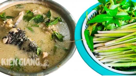 Đặc sản Kiên Giang, cá lóc đồng luộc hèm kiểu gì mà ai cũng thèm?